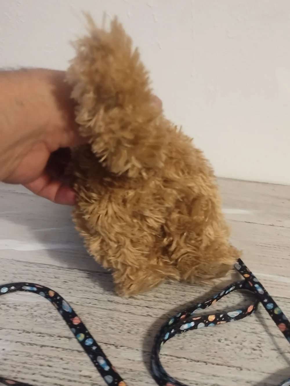 Plush Dog with Space Themed Leash toy plush good condition